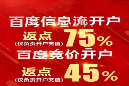 案例对比：不同竞价广告平台的优劣